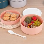 Bento compatible micro-ondes
