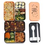 Lunch box sans BPA