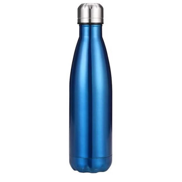 Bouteille en inox bleue