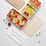 Bento compatible micro-ondes