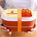 Lunch box colorée
