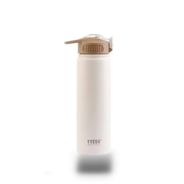 Bouteille élégante en acier